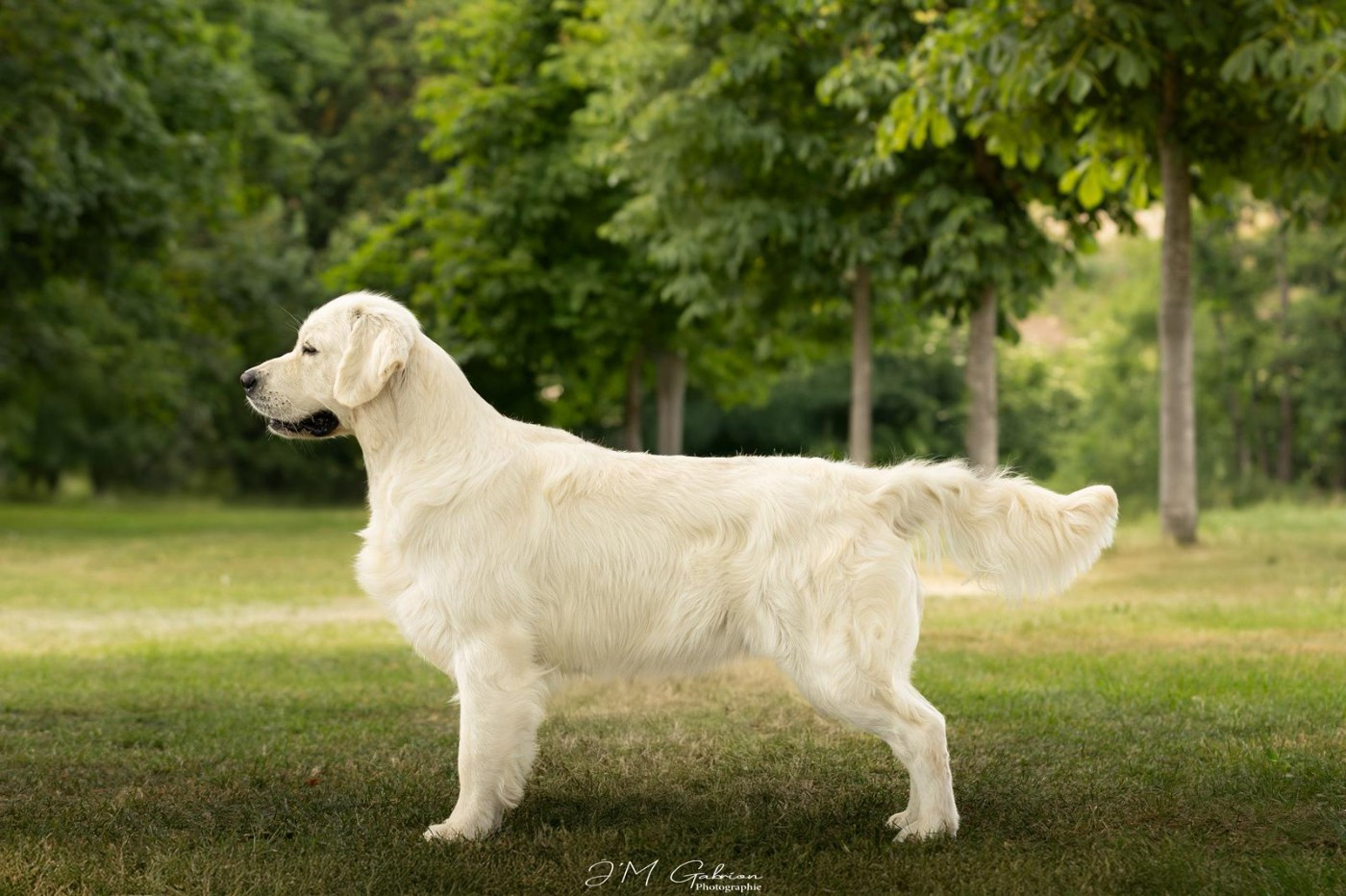 Arilis Line Open Heart dit Léo portée 2025